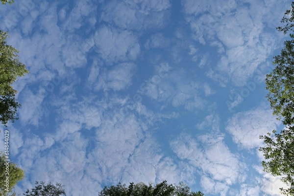 Fototapeta Blue sky with clouds. Spring or summer background. 
White clouds on the blue sky have a complex pattern.

