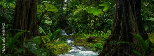 Obraz Tropical rainforest with river stream