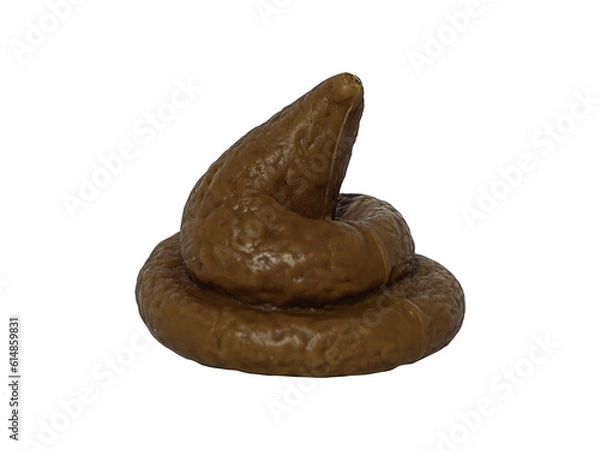 Obraz fake poop