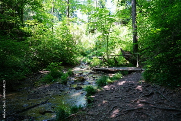 Obraz Wasserfälle im Allgäu