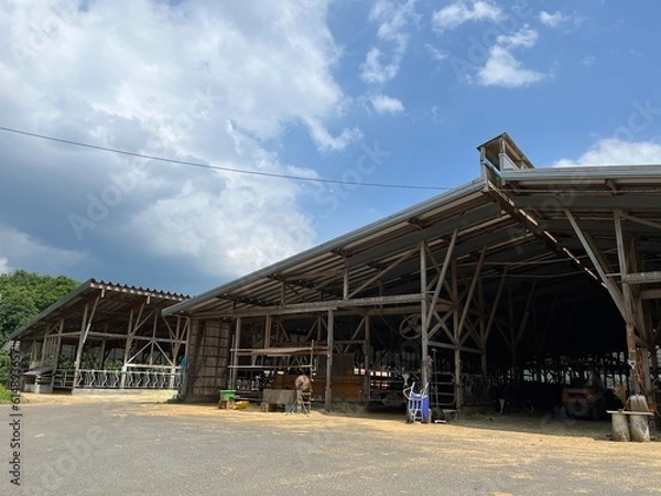 Obraz 220620奈良崎牧場
牛舎
牛
乳牛
牛乳
うし