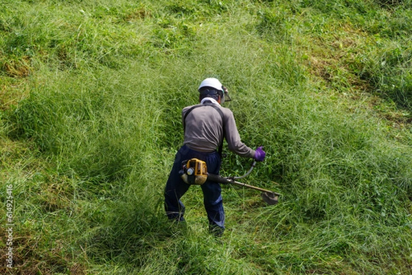 Obraz 耕作放棄地の草刈りをする高齢者