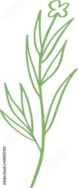 Obraz botanical line art