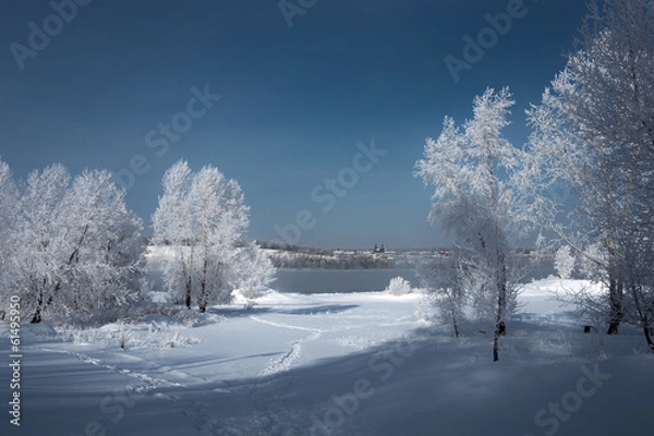 Fototapeta Russian winter
