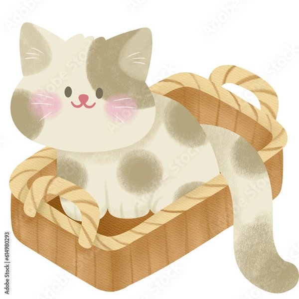 Fototapeta Cat basket