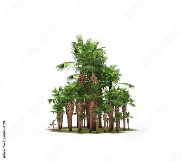 Obraz group of trees with a shadow on the ground, isolated on a white background, trees in the forest, 3D illustration, cg render