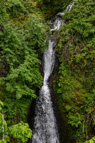 Obraz Path To Shepperd's Dell Falls