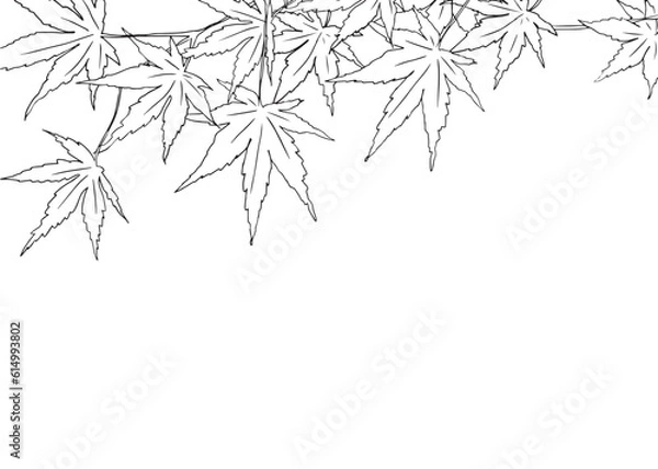 Fototapeta 線で描かれた紅葉のイラスト