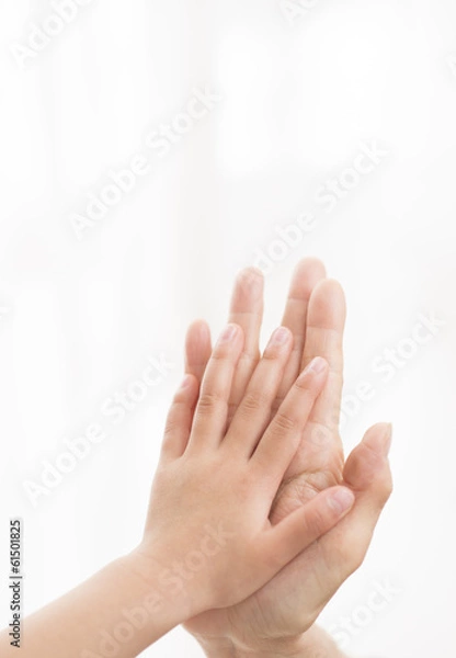 Fototapeta 触れ合い