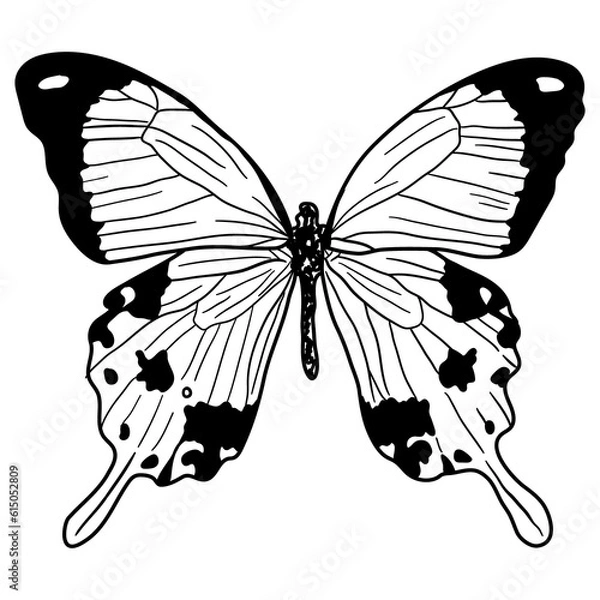 Fototapeta Embark on a whimsical journey with this captivating black-and-white butterfly design. Designed for coloring books, this enchanting artwork encourages children to bring butterflies to life.