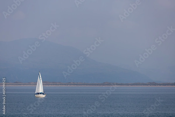 Obraz Sailing on the Lake