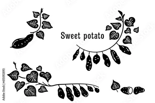 Fototapeta さつまいものイラスト・フレームセット（黒）