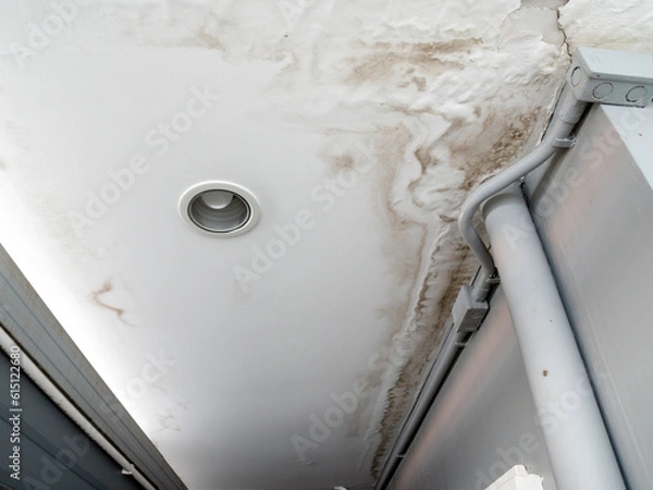Obraz Ceiling panels with fungus outside house from water pipes damaged or rainy leaked. Office building or house problem for house service.