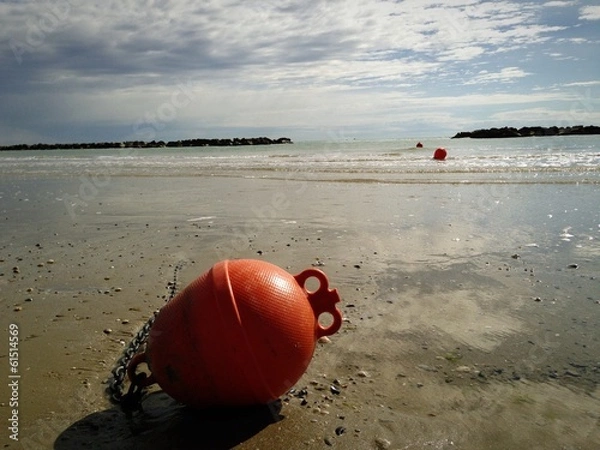 Fototapeta la boa e il mare