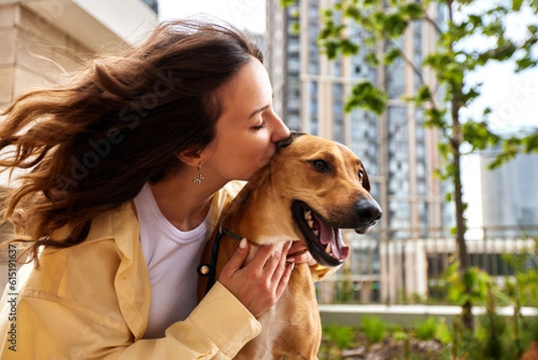 Fototapeta A charming young smiling girl is resting on a bench while walking with a golden dog. The girl hugs and kisses her pet. Love and affection between owner and pet. Adopting a pet from a shelter.