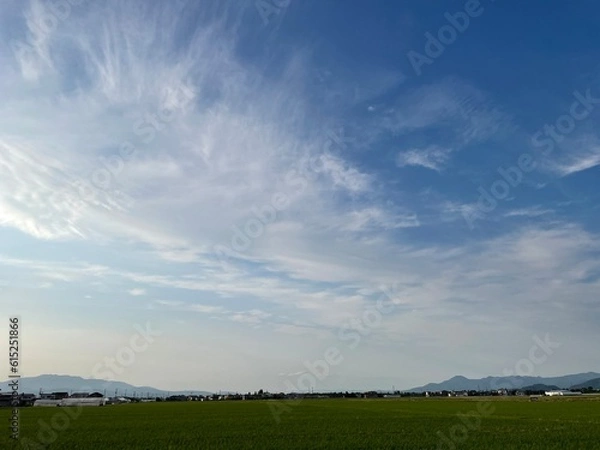 Obraz 210621田んぼ樋越

山形市樋越
田んぼ
空
雲