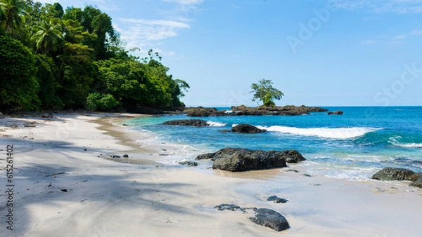 Fototapeta tropical rainforest beach with trees and rocks
