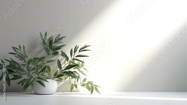 Fototapeta Minimalistic light background with plants on a white wall. Beautiful background for presentation with a smooth floor.