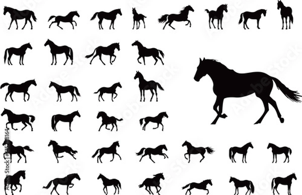 Obraz 馬のシルエットセット
