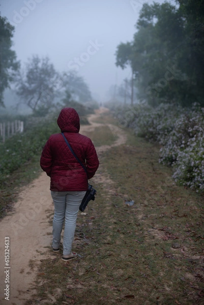 Obraz walking in the forest