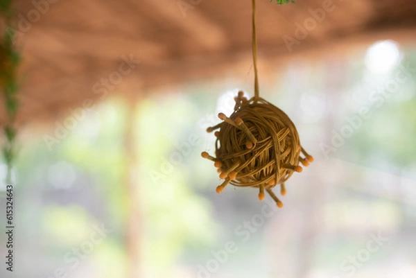 Obraz Ball made up from rope hanging from ceiling.