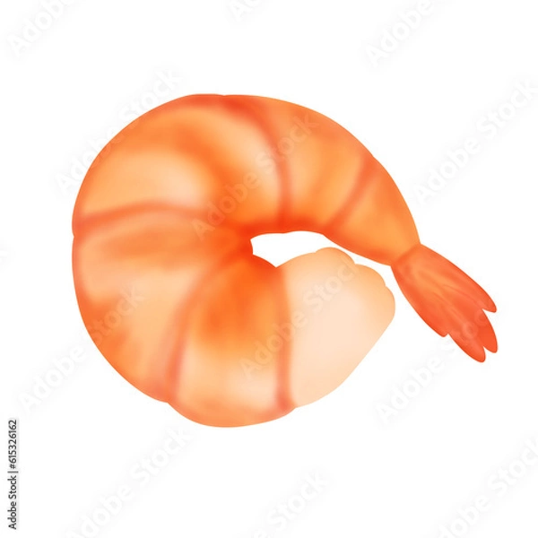Fototapeta shrimp