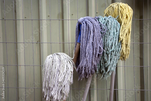 Obraz Mops leaning against a fence