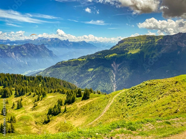 Obraz landscape in summer