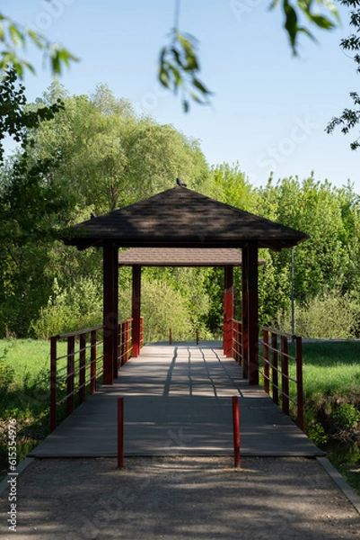 Fototapeta Wooden bridge through river in summer park.