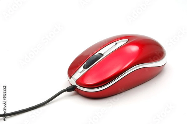 Obraz small red mouse