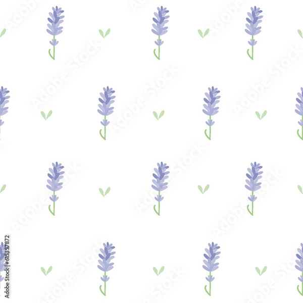 Fototapeta vector seamless summer floral pattern lavender 