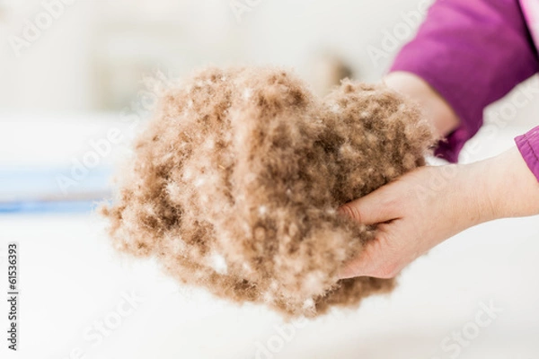 Obraz Hands full of downs