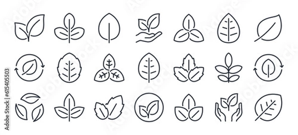 Fototapeta Natural, vegan, organic and healthy related editable stroke outline icons set isolated on white background flat vector illustration. Pixel perfect. 64 x 64.