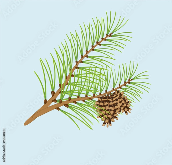 Obraz Сосновая ветка с шишками