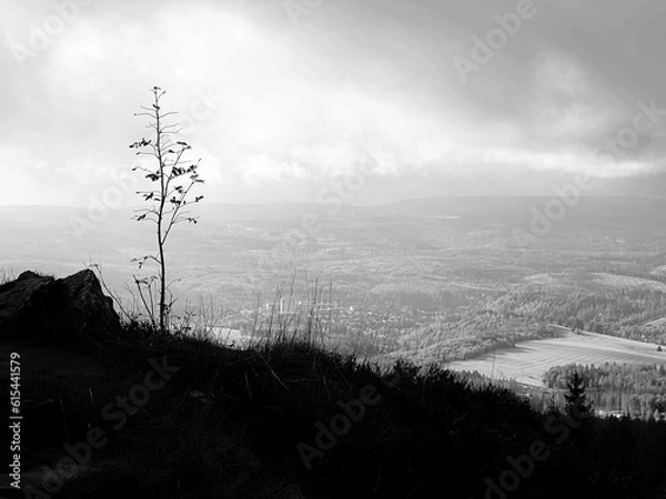 Obraz Ausblick auf den Harz