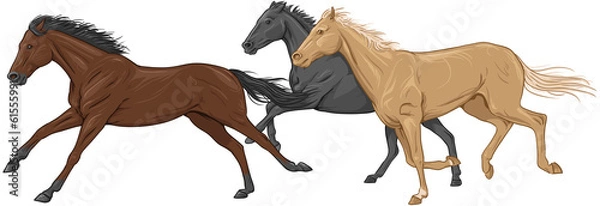 Fototapeta Three isolated galloping horses