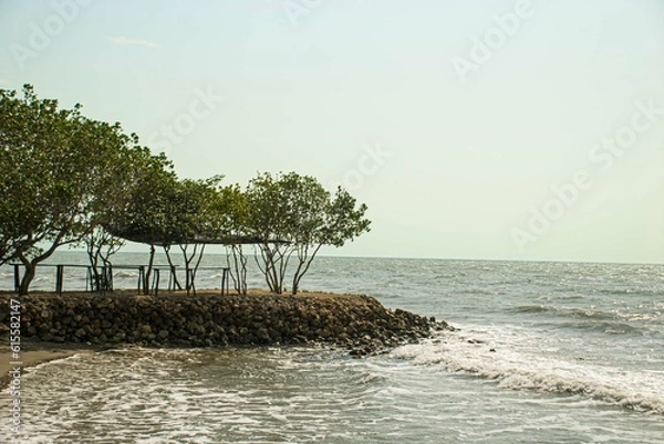 Obraz tree on the beach