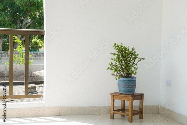 Fototapeta Planta en una meceta de color azul encima de una silla