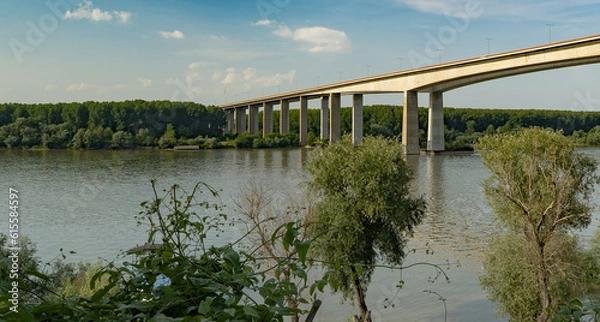 Obraz Bridge over the river