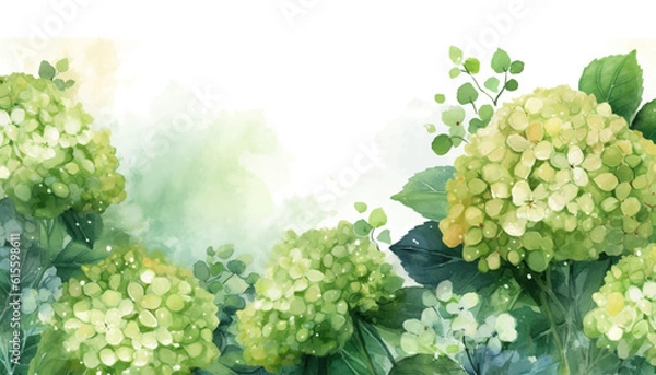 Obraz floral watercolor background green hydrangea flower