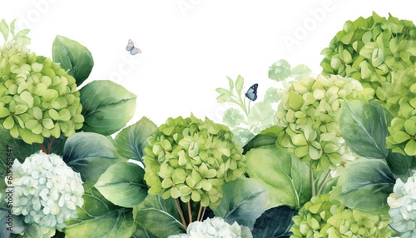 Obraz floral watercolor background green hydrangea flower