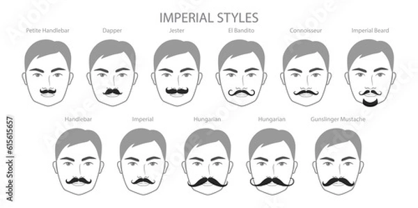 Obraz Set of Imperial Beard and mustache with name text style men face illustration Facial hair. Vector black grey portrait male Fashion template flat barber collection. Stylish hairstyle isolated outline