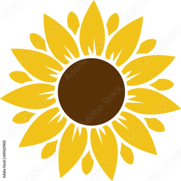Fototapeta sunflower illustration svg vector