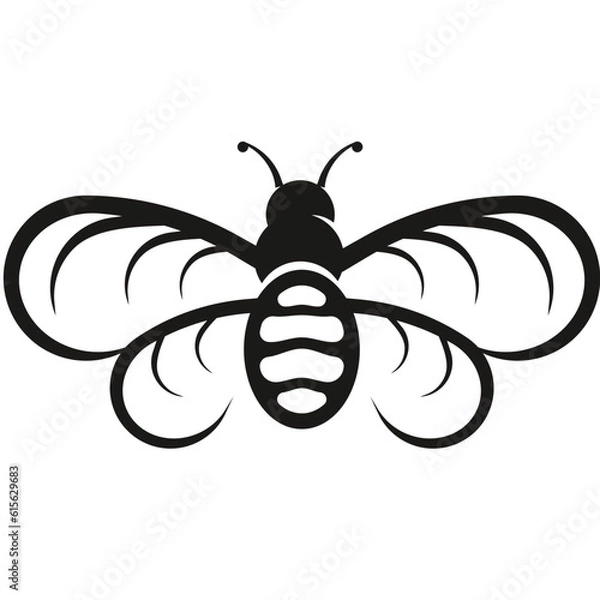Obraz Bee insect 