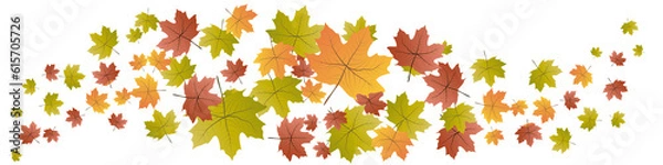 Fototapeta Autumn with fall leaves. Isolated banner
