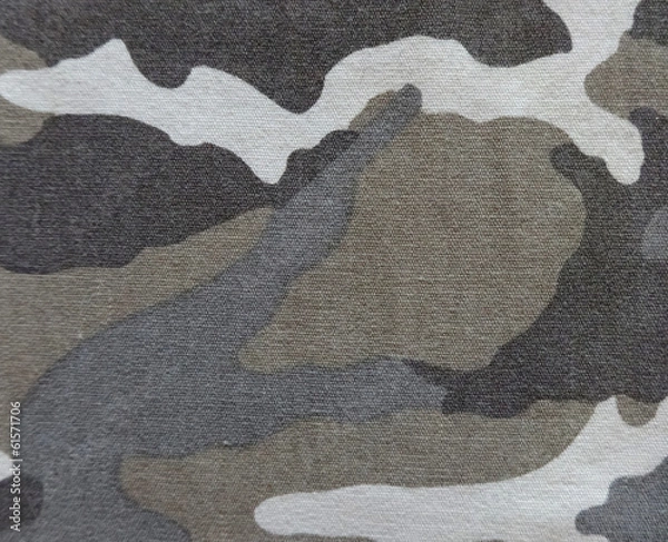 Obraz Camouflage texture