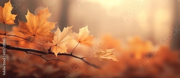 Obraz Beautiful autumn leaves on blurred background