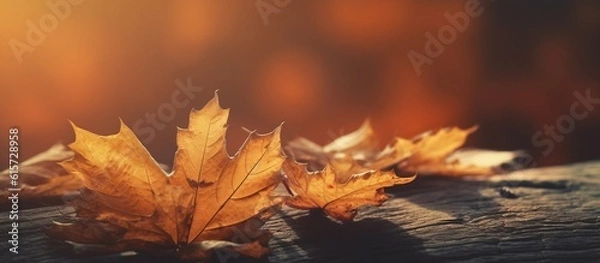 Obraz Beautiful autumn leaves on blurred background
