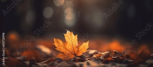 Obraz Beautiful autumn leaves on blurred background