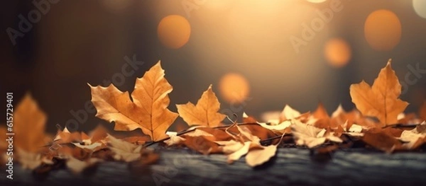 Obraz Beautiful autumn leaves on blurred background